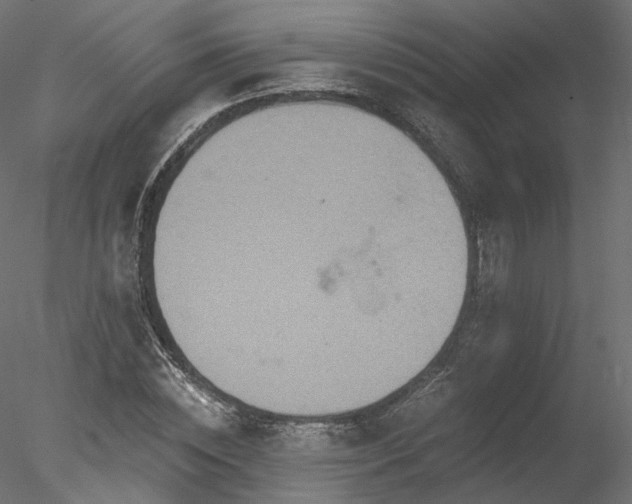 X0000078280828200611031206