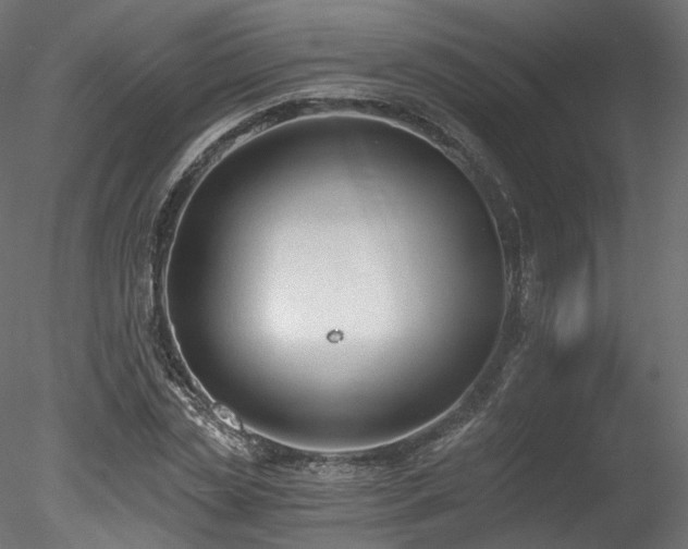 X0000078280829200611031206