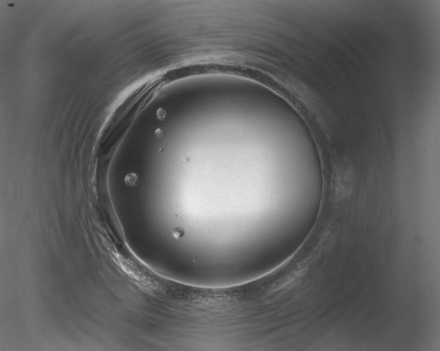 X0000078280830200611031206