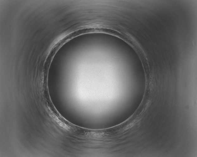 X0000078280831200611031206