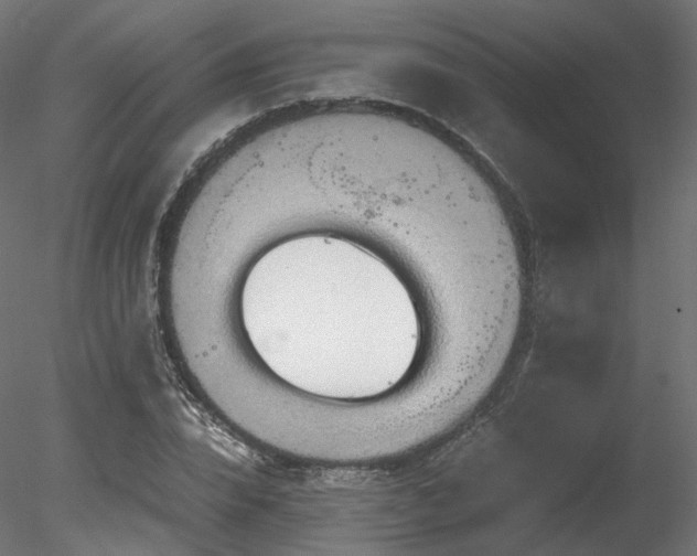 X0000078280832200611031206