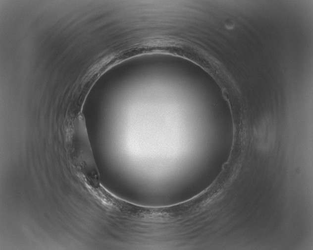 X0000078280833200611031206