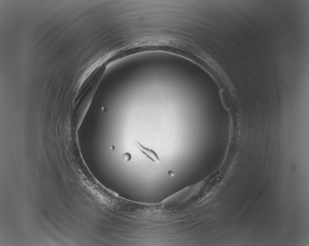 X0000078280834200611031206