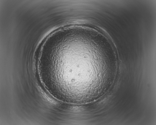 X0000078280835200611031206