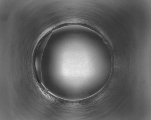 X0000078280837200611031206