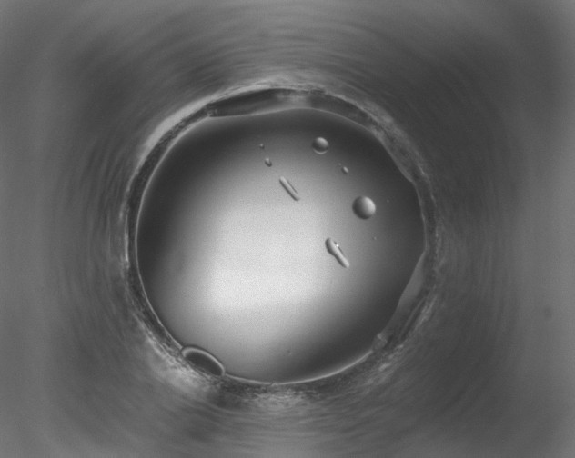 X0000078280838200611031206