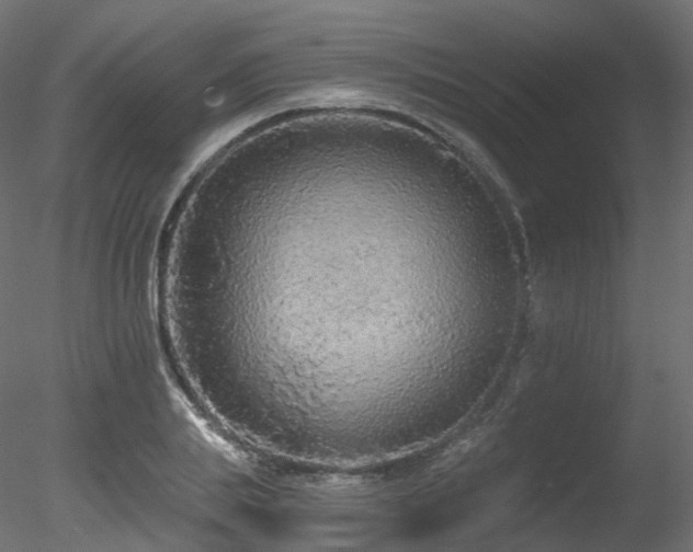 X0000078280839200611031206