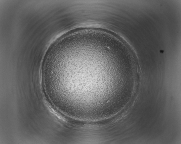 X0000078280840200611031206