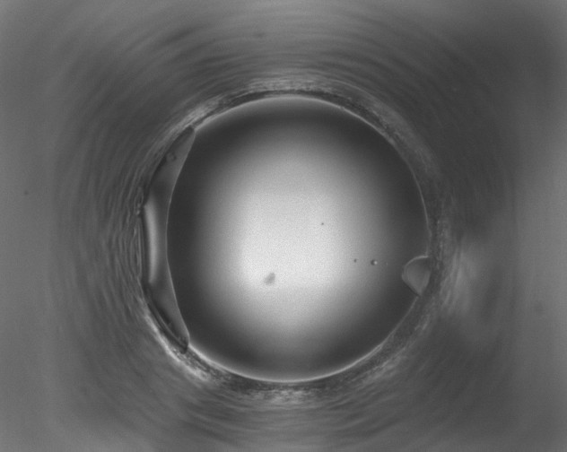 X0000078280841200611031206