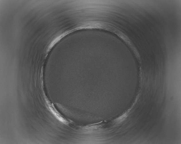 X0000078280842200611031206