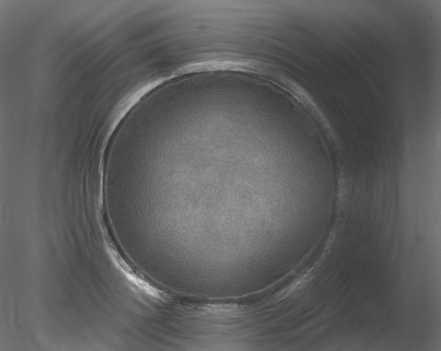 X0000078280844200611031206