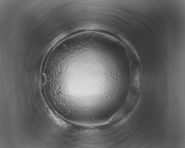 X0000078280845200611031206