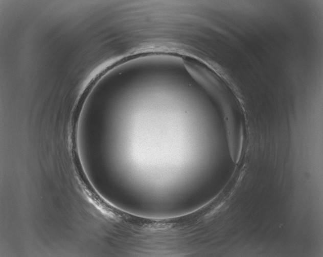 X0000078280846200611031206