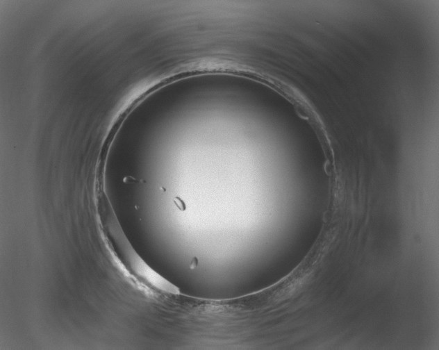 X0000078280847200611031206