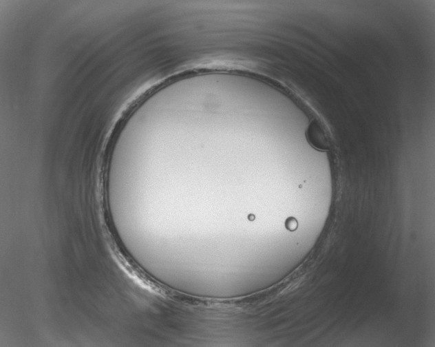 X0000078280848200611031206