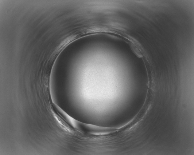 X0000078280849200611031206