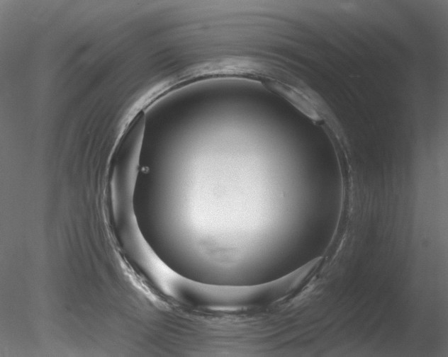 X0000078280850200611031206