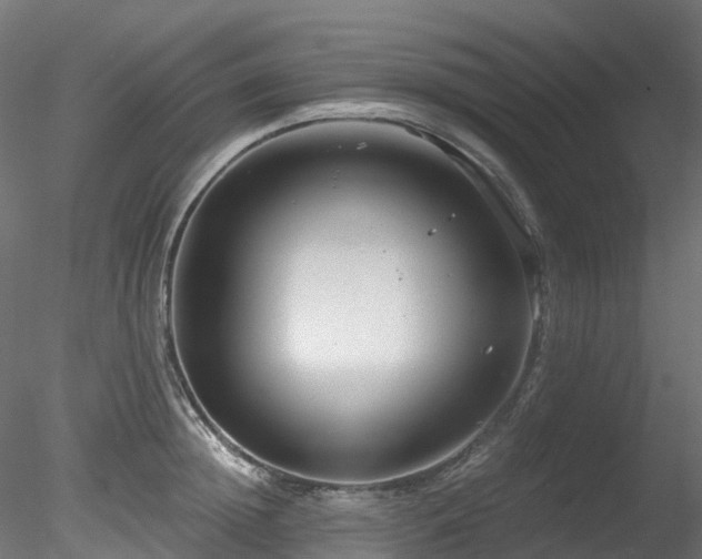 X0000078280852200611031206