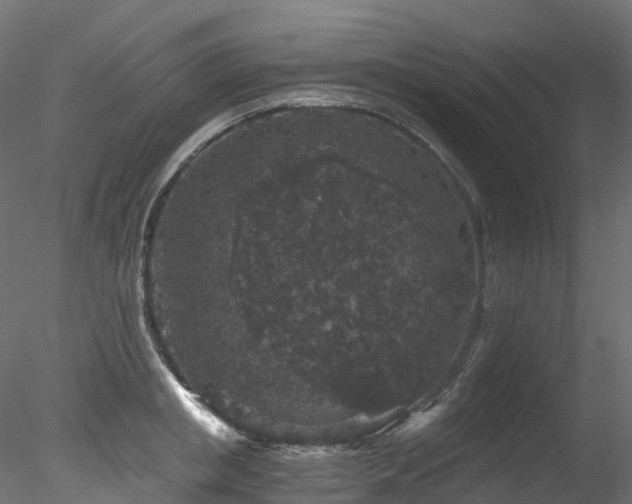 X0000078280853200611031206