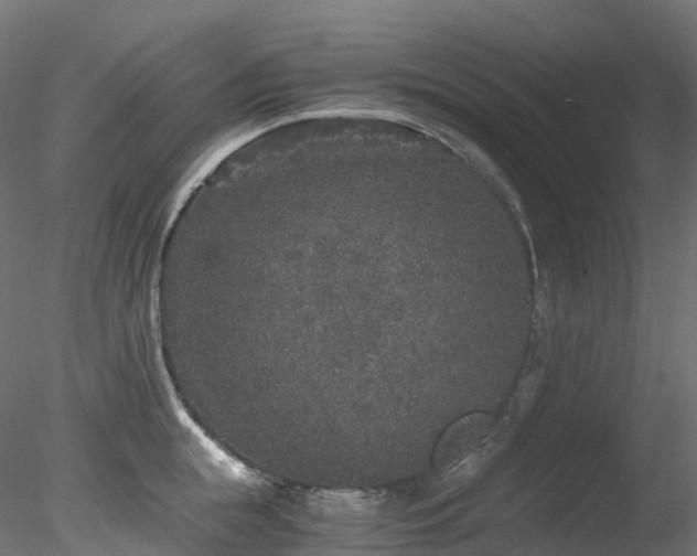 X0000078280855200611031206