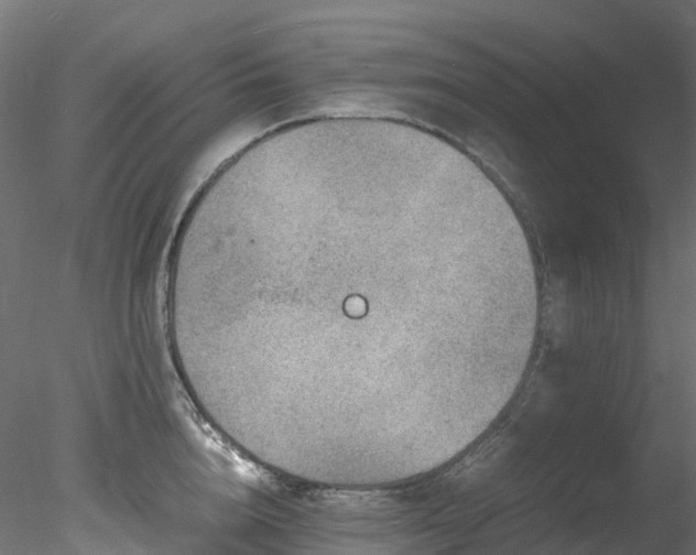 X0000078280856200611031206