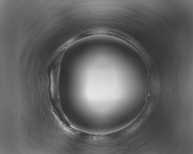 X0000078280857200611031206