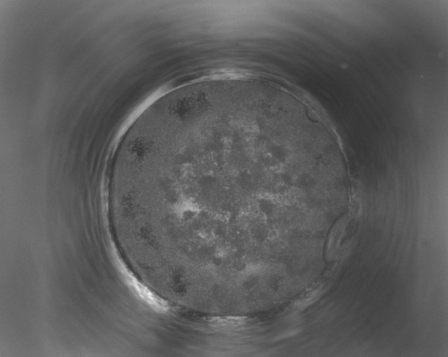 X0000078280859200611031206