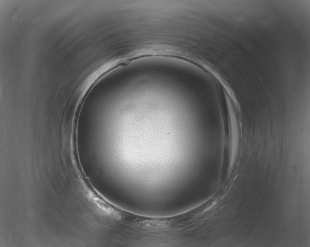 X0000078280861200611031206