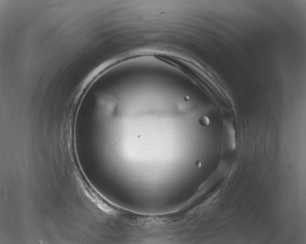 X0000078280862200611031206