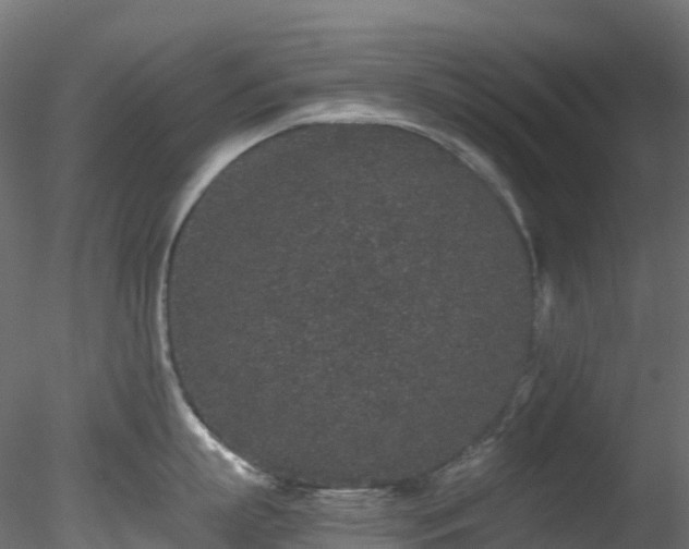 X0000078280863200611031206