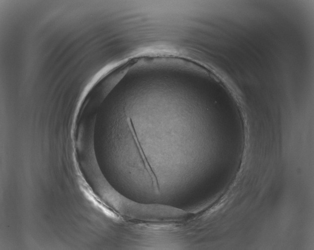 X0000078280864200611031207