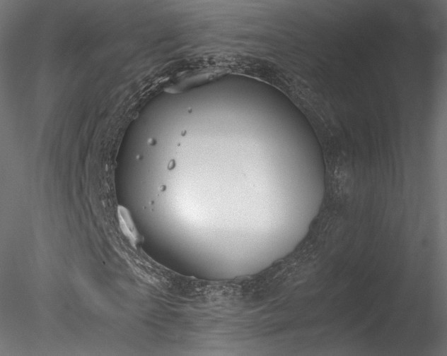 X0000078280865200611031206