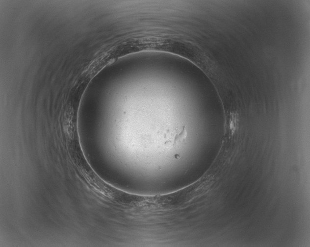 X0000078280867200611031206