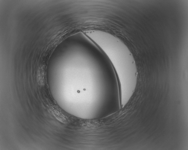 X0000078280868200611031206