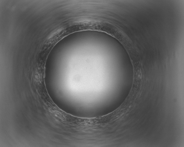 X0000078280869200611031206