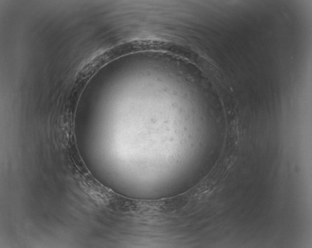 X0000078280870200611031206