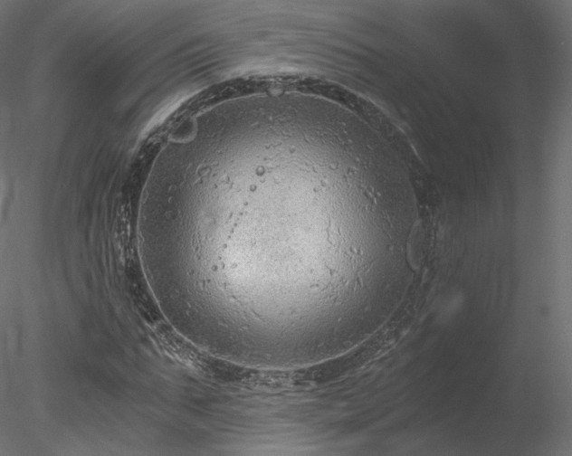 X0000078280871200611031206