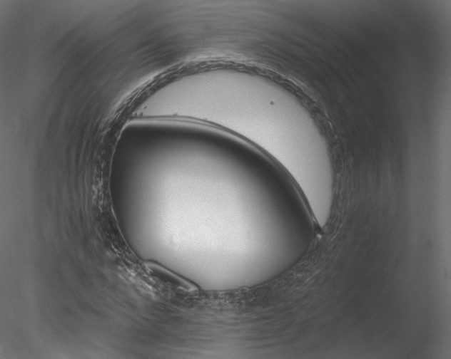 X0000078280872200611031206