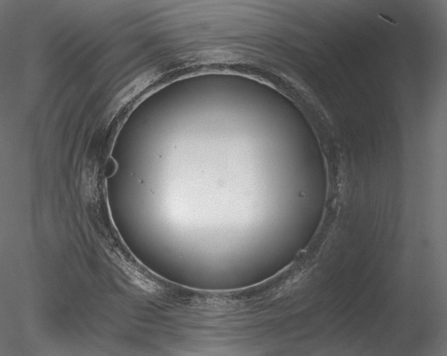 X0000078280873200611031206