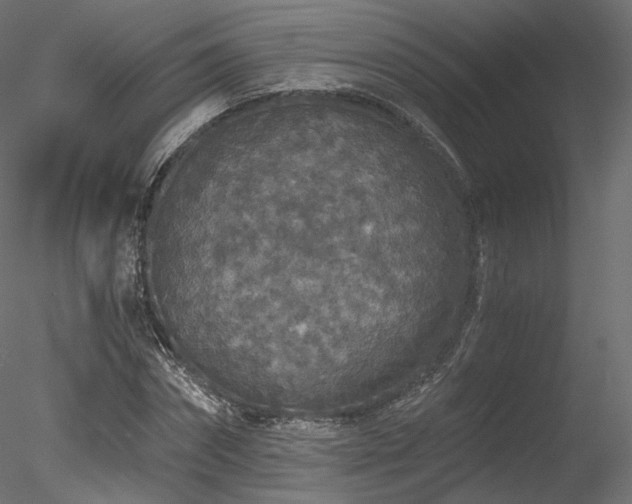 X0000078280874200611031206