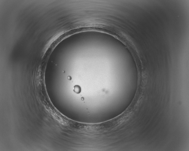 X0000078280875200611031206