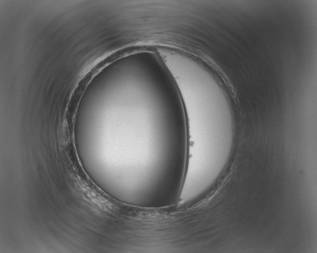 X0000078280876200611031206