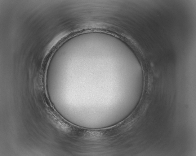 X0000078280878200611031205