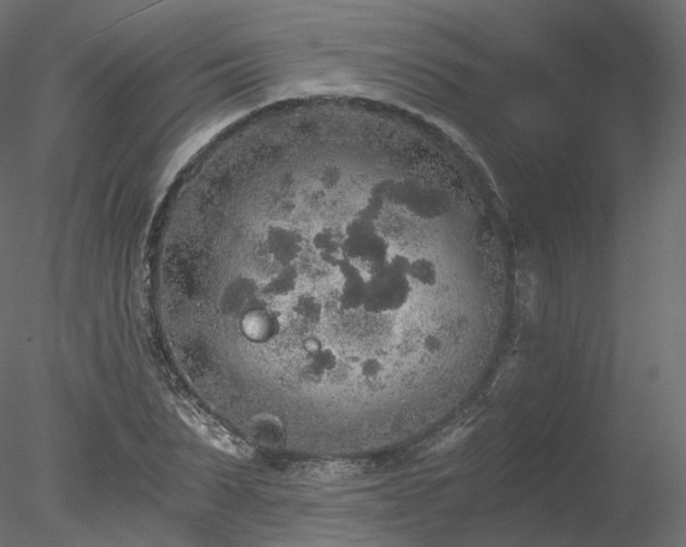 X0000078280879200611031205