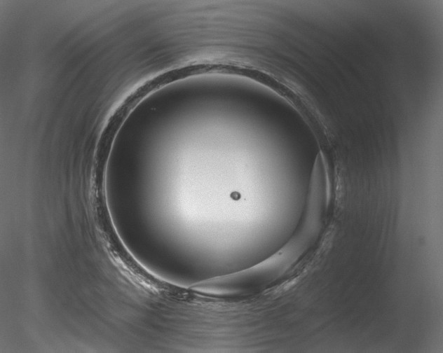 X0000078280880200611031205