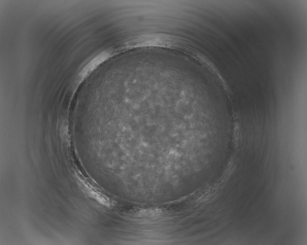 X0000078280882200611031205