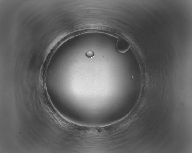 X0000078280883200611031205