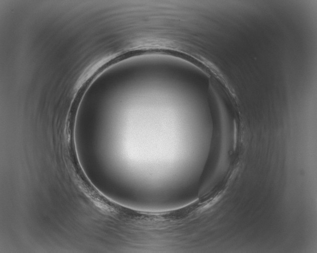 X0000078280885200611031205