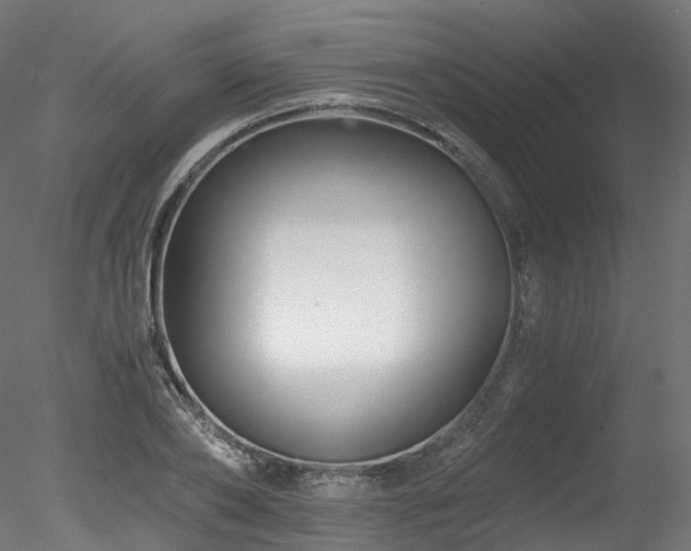 X0000078280886200611031205