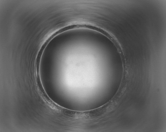 X0000078280887200611031205